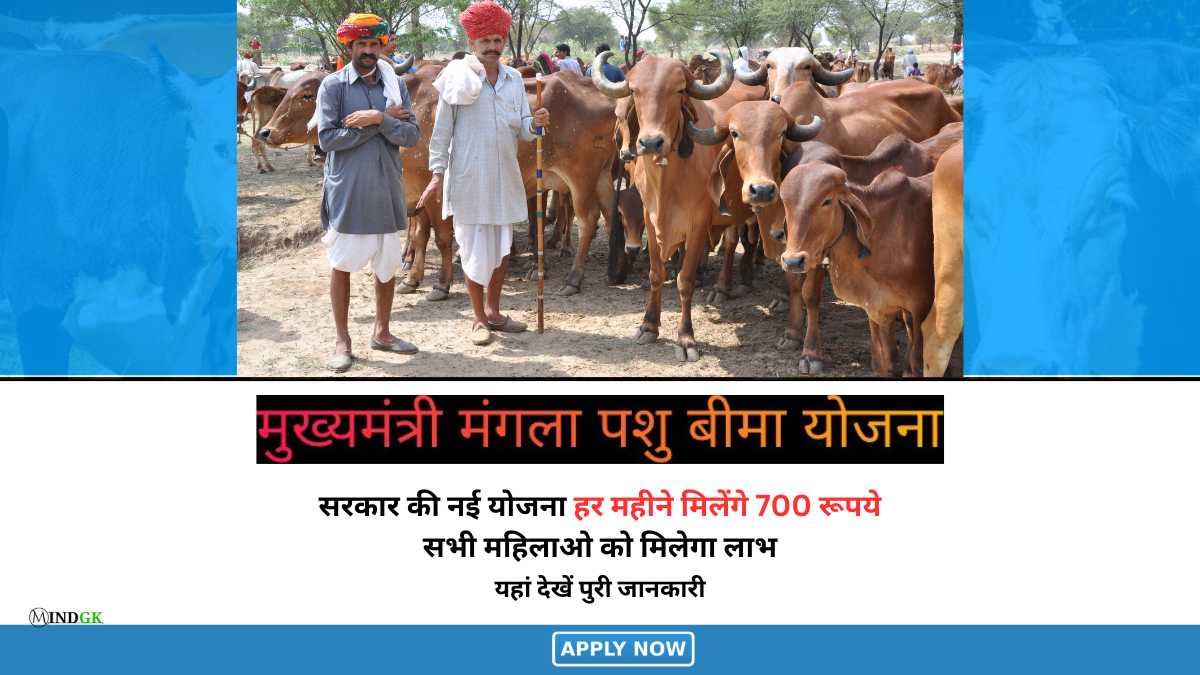 Mukhymantri Mangla Pashu Bima Yojana